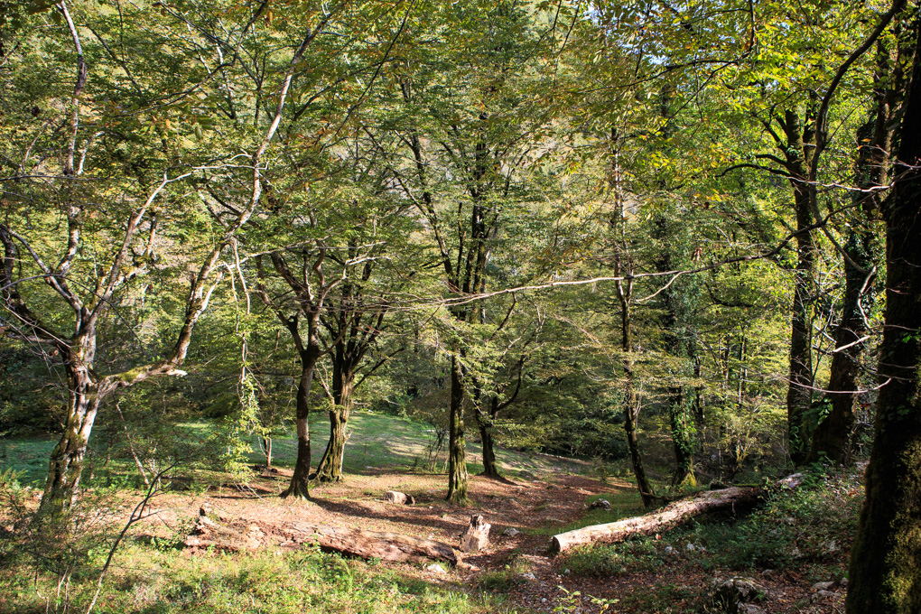 Novyj Avon, Abkhazia
